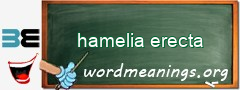 WordMeaning blackboard for hamelia erecta